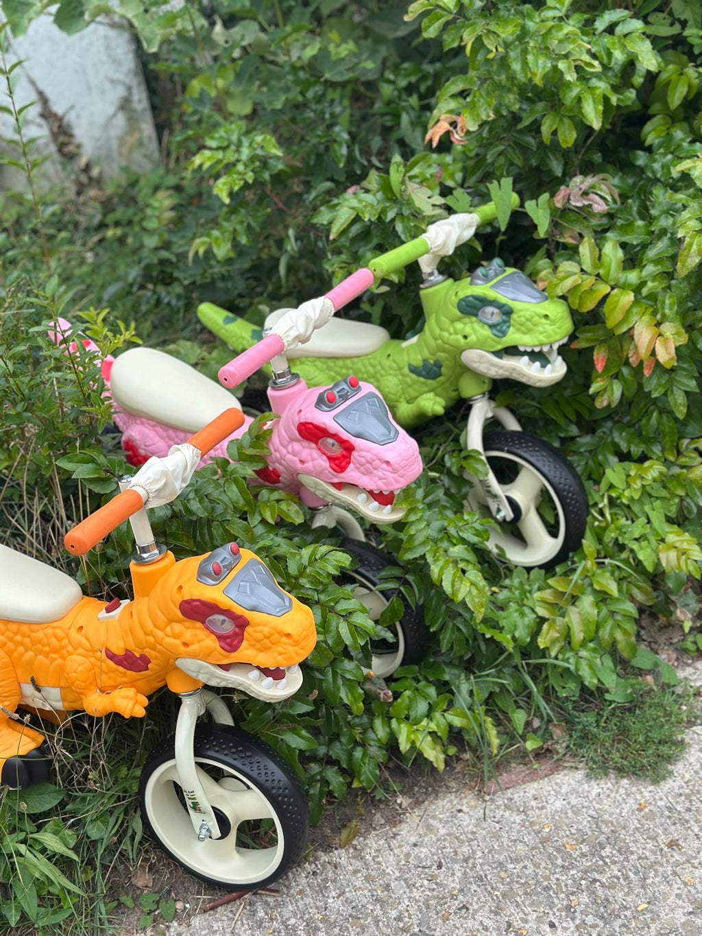 Draisienne/ Vélo dinosaure